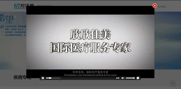 欣欣佳美国际医疗服务有限公司网站首页截图