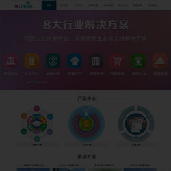 无线网络公司网站建设